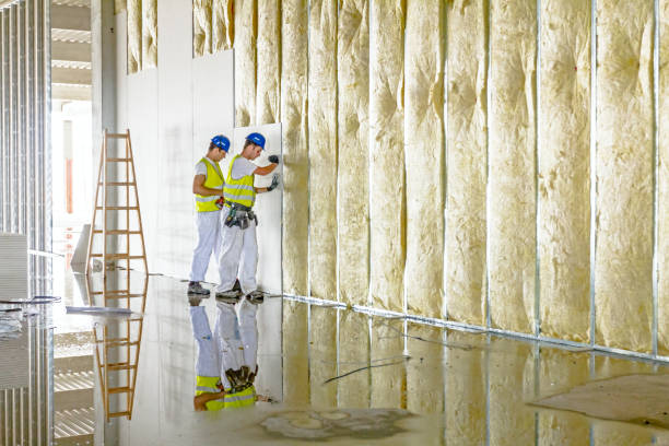 Insulation Repair Services in Concord, NC